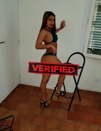 Vanessa pornostarr Prostituta Chaves